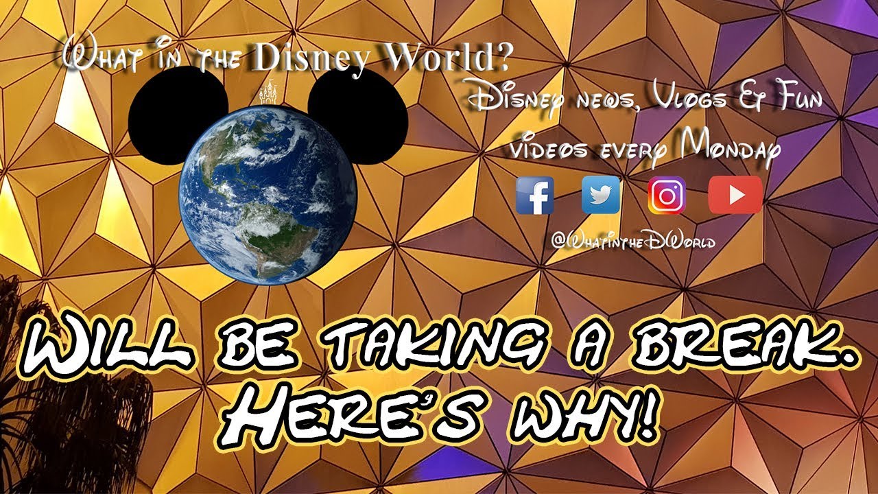 No News until next year...Here's why!