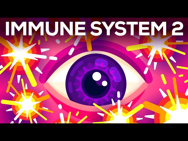 Tiny Bombs in your Blood - The Complement System class=