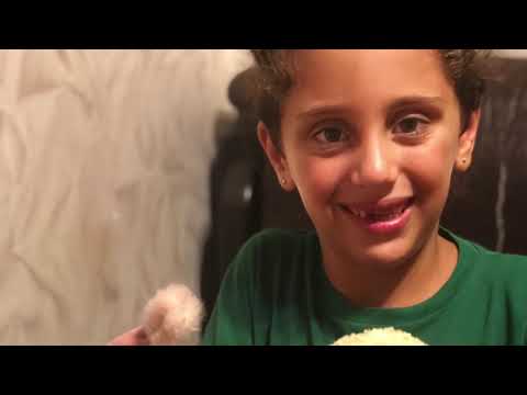 უხეირო დათვი