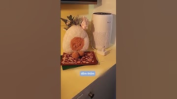 Review Máy lọc không khí Levoit Core Mini lọc bụi mịn cực hiệu quả!