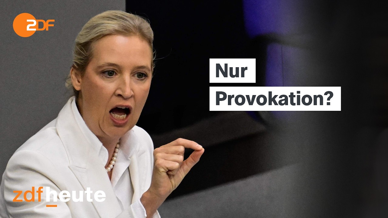 Mobs for clicks: Does the tone in the Bundestag brutalize? | ZDF Berlin Direct