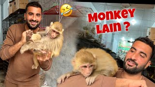 Bht Cute Monkey Baby Mil Giya Market Main