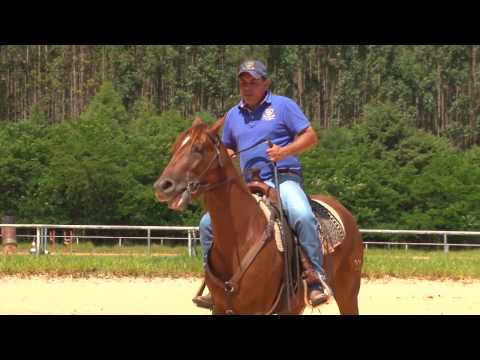 TV UC - Como Ensinar Seu Cavalo a Ficar Parado