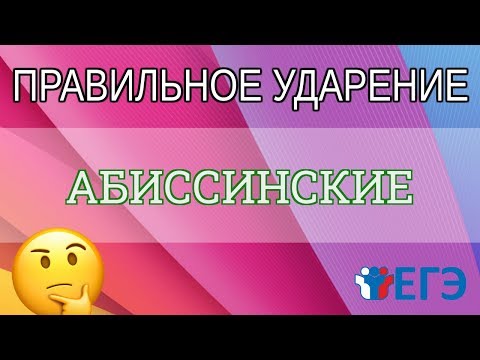 🔴 ЕГЭ 2020 - Как правильно поставить ударение в слове «АБИССИНСКИЕ»