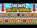 We survived 100 days  in minecraft racing to collect its rarest items heres what happened