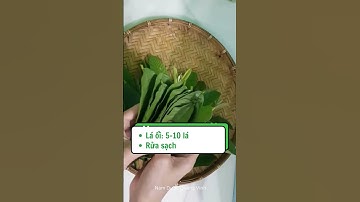 LÁ ỔI HỖ TRỢ ĐIỀU TRỊ TIỂU ĐƯỜNG RẤT TỐT | Lương y Triệu Thị Thanh