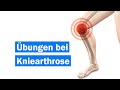 Übungen bei Kniearthrose | Krafttraining | Gonarthrose