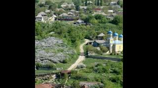 For.dragoste - of soferilor soferi 2020