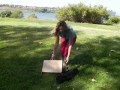 EasyL easel