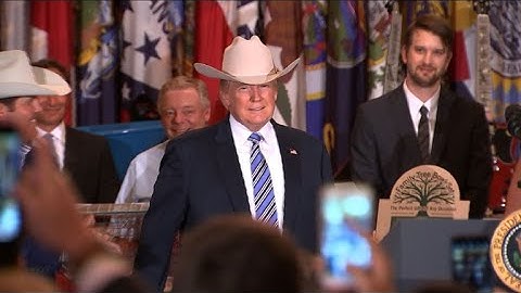 US: A look at Donald Trump's first 6 months as president