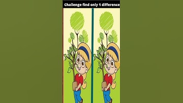 find 1 difference #challenge #puzzlegame #puzzle #quizgame #quiz #game #shortvideo #shorts #trending