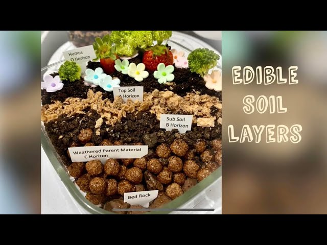 Make Your Own Edible Soil – Rexius