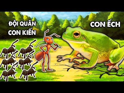 Video Vương Quốc Loài Kiến - Tập 6 ( Tập Cuối ) | TRẬN CHIẾN... - youtube