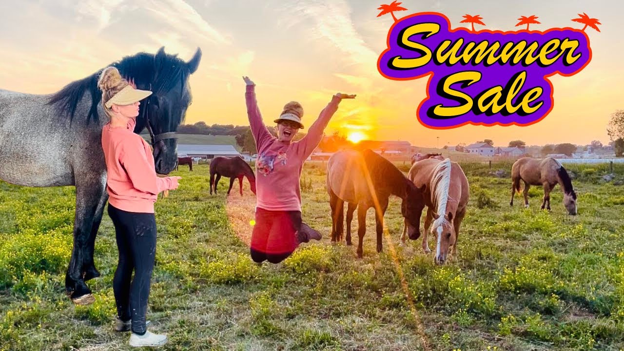 HORSE AUCTION ADVENTURE!!!! LATE NIGHT SUMMER SALE - YouTube