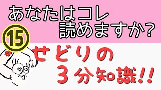 ［ポイント解説］食器せどりの利益