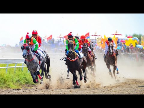 Speed and passion: Jirem Horse Racing Festival opens in Inner Mongolia