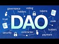 How to Build Different DAO's [ CoinMarketCap Special ]