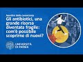Gli antibiotici, una grande risorsa diventata fragile: com’è possibile scoprirne di nuovi? Goal 3