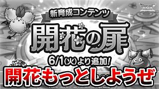 【ドラクエタクト】才能開花もっとしようぜ！
