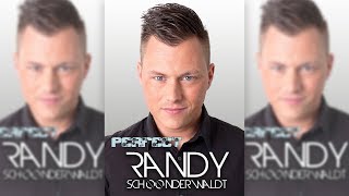 ed sheeran perfect randy schoonderwaldt cover