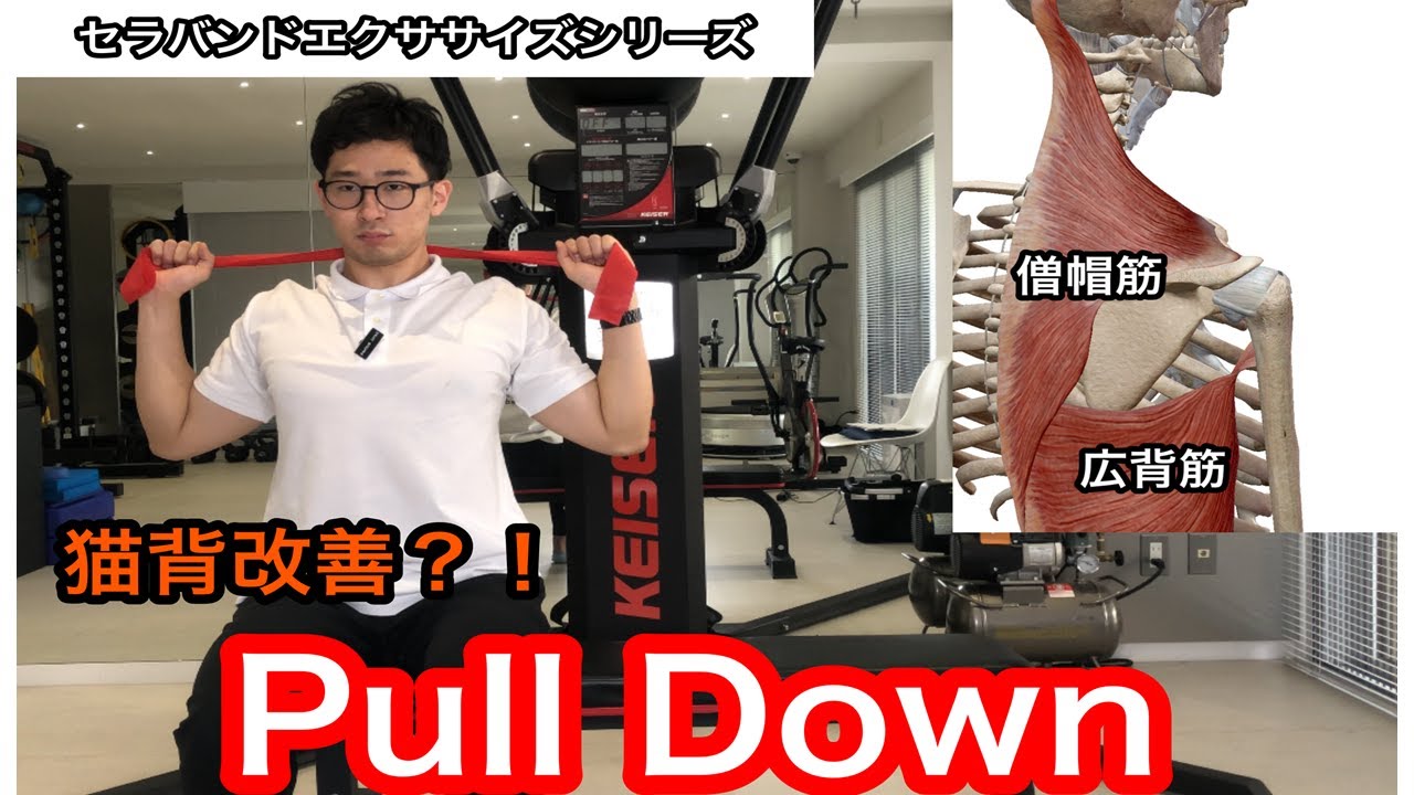 セラバンドエクササイズ⑨】PullDownエクササイズ - YouTube