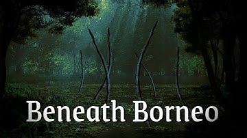 Beneath Borneo - Original Horror Story