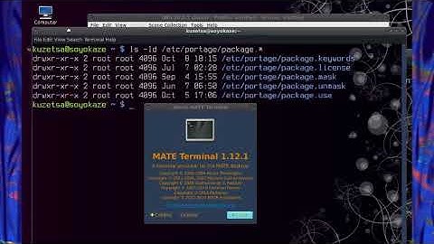 x11-terms/mate-terminal-1.12.1 transparency
