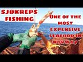FISHING ONE OF THE MOST EXPENSIVE SEAFOOD IN NORWAY, SJØKREPS or NORWAY LOBSTER| HITRA,  NORWAY
