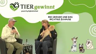 (Folge 135) – Rio Grande und das richtige Zuhause