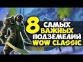 САМЫЕ ВАЖНЫЕ ПОДЗЕМЕЛЬЯ WOW CLASSIC