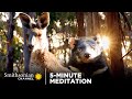 Lessons from Nature and Companionship