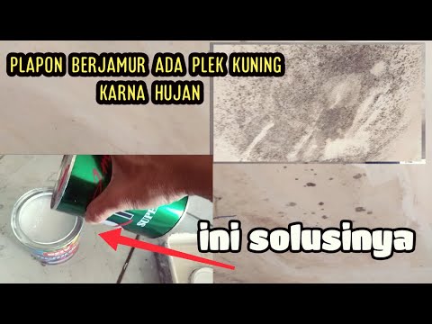 CARA MENGECAT PLAFON,BEKAS