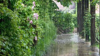 Pleasant Rain Falling on a Leisurely Day - 10 Hours Video with Rain Sounds for Relaxation and Sleep