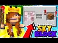 SKYBLOCK V2 - PARAM BİTTİ, FAKİR OLDUM - Minecraft Evi Serverı