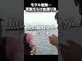 モラル皆無…死骸だらけの巨大血溜りを掃除… #Shorts