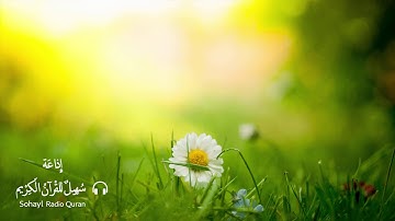 (75) تـلاوة رائعـة سورة " القيامة " كاملة يتلوها القارئ | اسلام صبحي