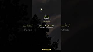 Surah Yunus Ayat 99-100📖 & Surah An-Nahl Ayat 93📖 & Surah Al-Ma'idah Ayat 48📖 || #quran #trending