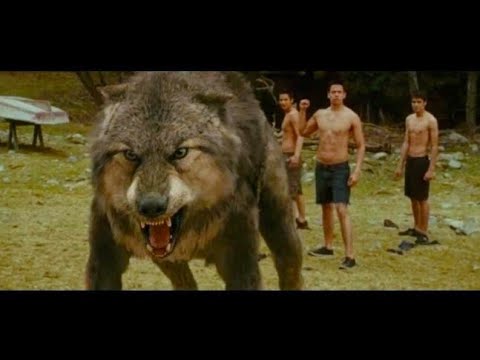 Jackob turn into werewolf- Twilight new moon| Hindi|