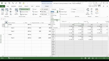 The resource usage and task usage view in Microsoft Project