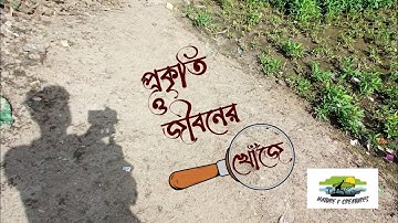 INTRO - Nature & Creatures | Free intro maker