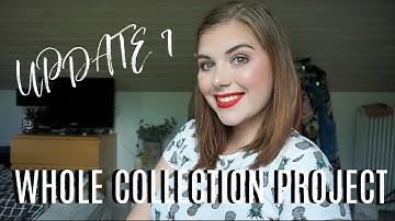 WHOLE COLLECTION PROJECT PAN 2.0 | UPDATE 7 // COLLAB