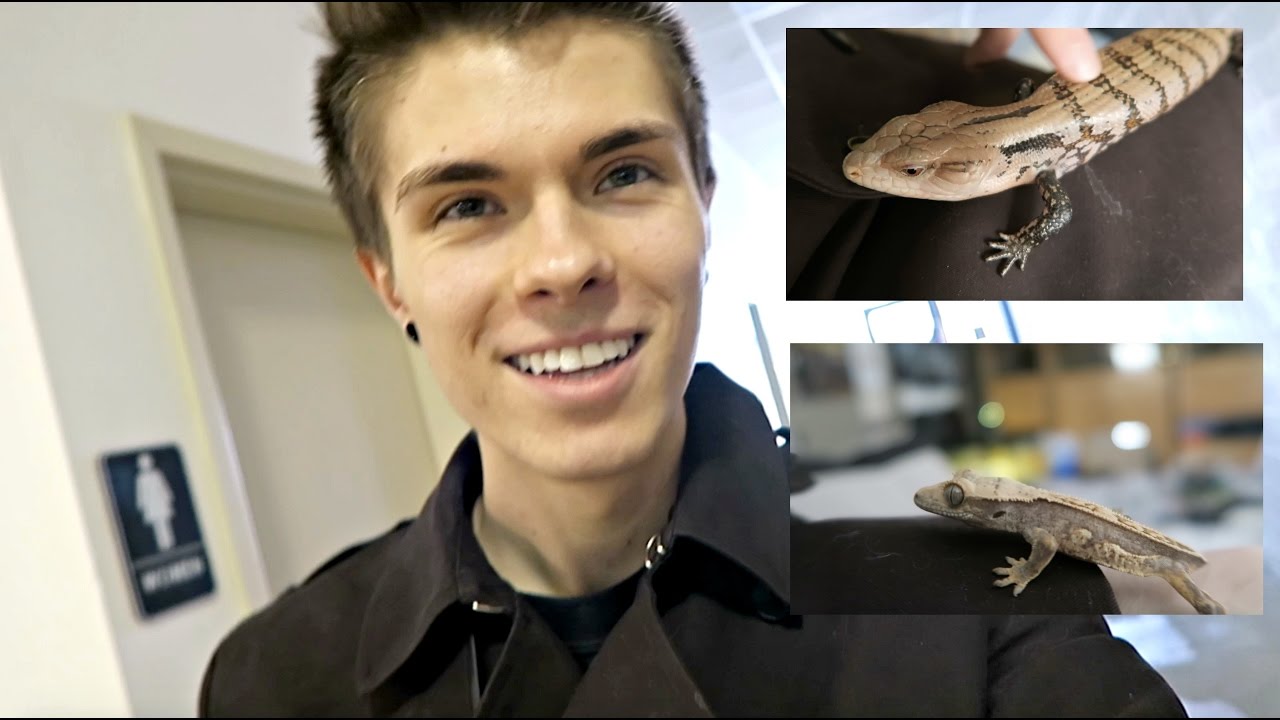 vlogs in spanish Getting 2 New Pets From The Reptile Expo!
