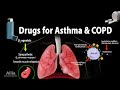 Pharmacology drugs for asthma and copd animation
