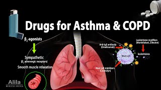 Pharmacology: Drugs for Asthma and COPD, Animation