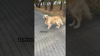 Аромат это… ассоциации 💔 Согласны? #рекомендации #духи #обзор #парфюмерныйобзор #ароматы