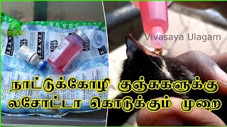 லசோட்டா தடுப்பு மருந்து கொடுக்கும் முறை