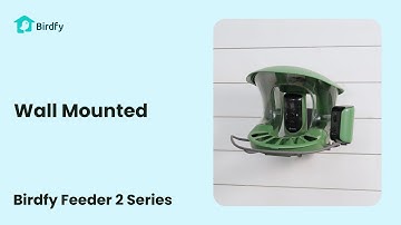 Wall Mounted - Birdfy Feeder 2 Series Tutorial