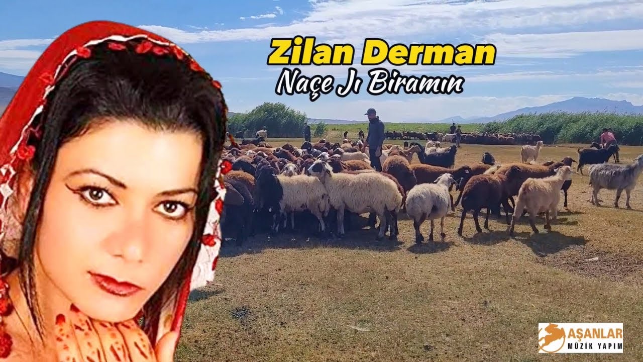 Zilan Derman   Nae J Biramn  Best Remix  Hareketli Orjinal Mix