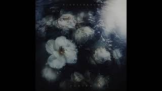 Nightsorrow - Fading (Metal-gaze)
