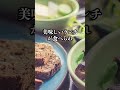 6ヶ月働いて3ヶ月休みの企業 #転職したい #お金 #転職 #投資 #ホワイト企業 #大学生
